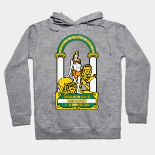 Andalucía Spain / Retro Faded Style Flag Design Hoodie